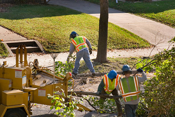 Best Tree Maintenance Programs  in Hummelstown, PA